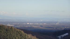 IMG_20251230_095517_ (12).JPG